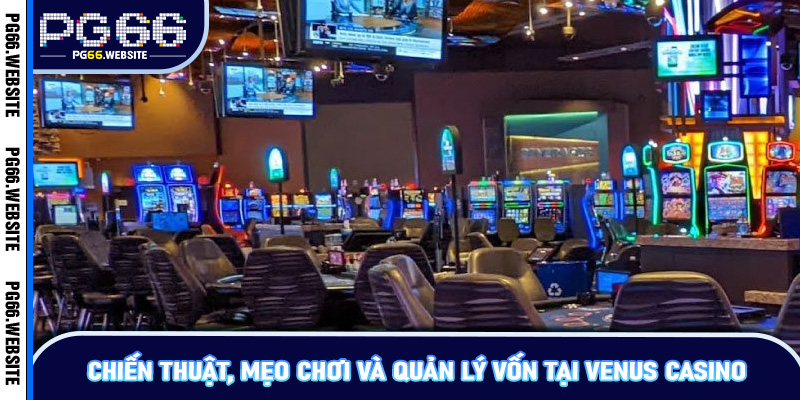 Chiến thuật, mẹo chơi và quản lý vốn tại Venus Casino