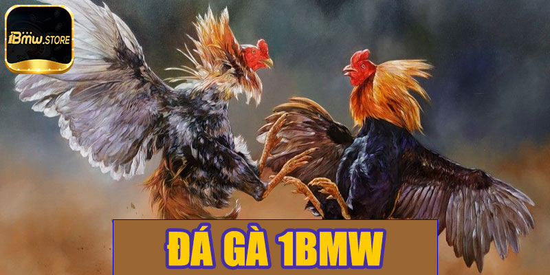 Đá gà 1BMW – Hướng dẫn chơi, chiến lược và lưu ý quan trọng