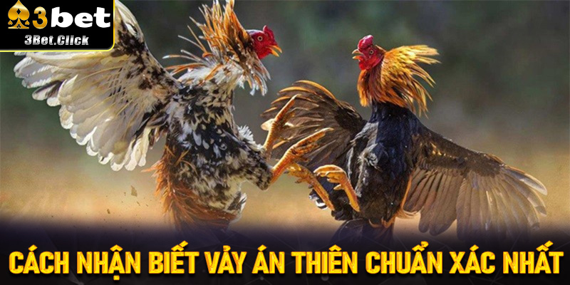 Cách Nhận Biết Vảy Án Thiên Chuẩn Xác Nhất