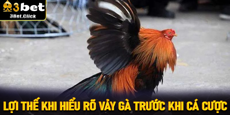 Lợi Thế Khi Hiểu Rõ Vảy Gà Trước Khi Cá Cược